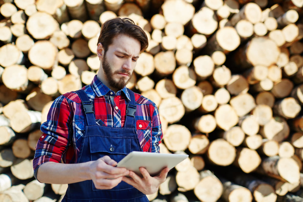 Lire la suite à propos de l’article Avantages, risques et options pour diversifier son patrimoine forestier en investissant dans le bois